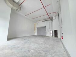 Ct Foodnex (D25), Factory #496456471